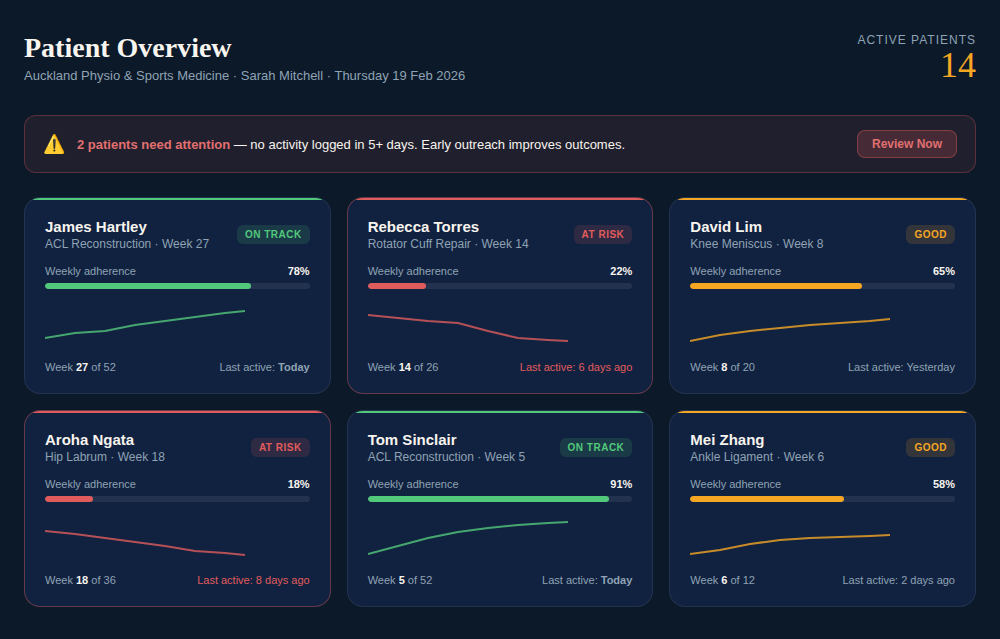 Physio dashboard showing patient adherence overview